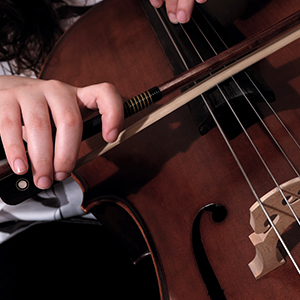 musician playing string instrument